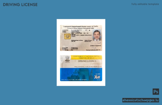 Beispiel für einen Führerschein aus Delhi, Indien